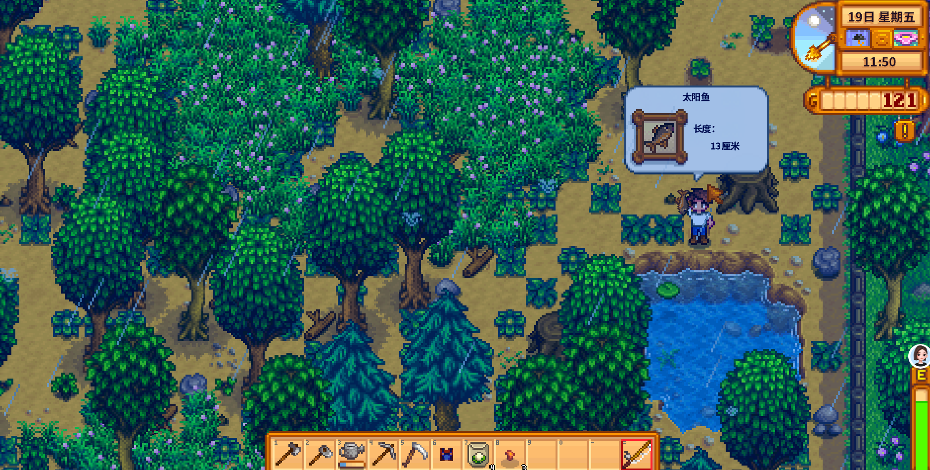 Stardew Valley rainy day catch: player holding a sunfish by a pond
