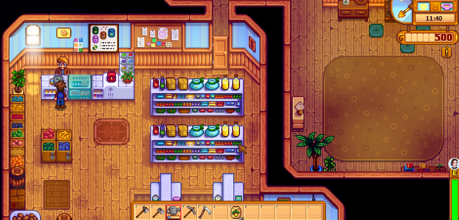 Inside Pierre’s General Store; player at the counter with Pierre; clock 11:40 am and 500g on the HUD